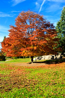 Fall Foliage 2009 032.jpg