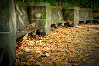 Fall Foliage 2009 103.jpg