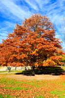 Fall Foliage 2009 054.jpg