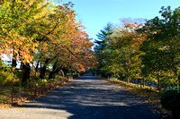 Fall Foliage 2009 002.jpg