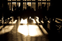 Ellis Island Shadows