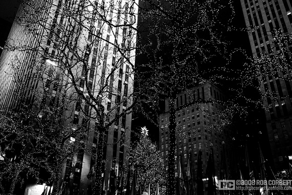 Tree & Lights B&W